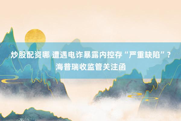 炒股配资哪 遭遇电诈暴露内控存“严重缺陷”？海普瑞收监管关注函