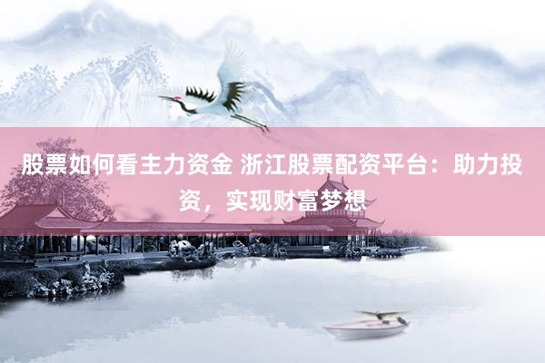 股票如何看主力资金 浙江股票配资平台：助力投资，实现财富梦想