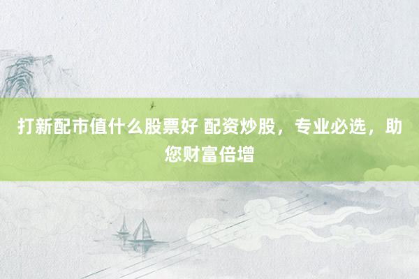 打新配市值什么股票好 配资炒股，专业必选，助您财富倍增